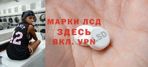прущие грибы Арсеньев