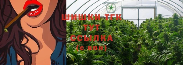соль ск Аркадак