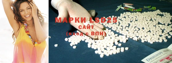 прущие грибы Арсеньев
