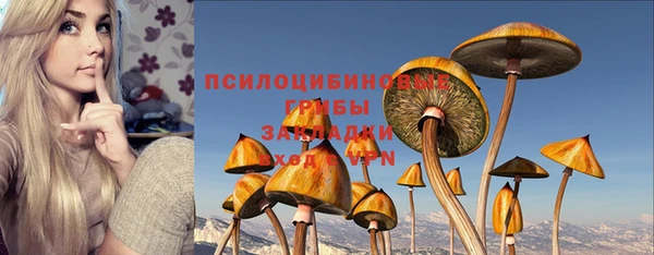 дживик Семикаракорск