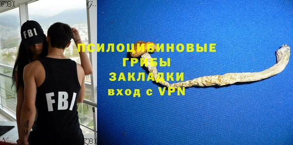 ГАЛЛЮЦИНОГЕННЫЕ ГРИБЫ Армянск