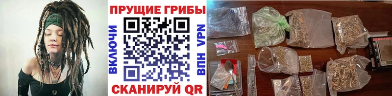 Купить где  Донецк  Галлюциногенные грибы Psilocybe 